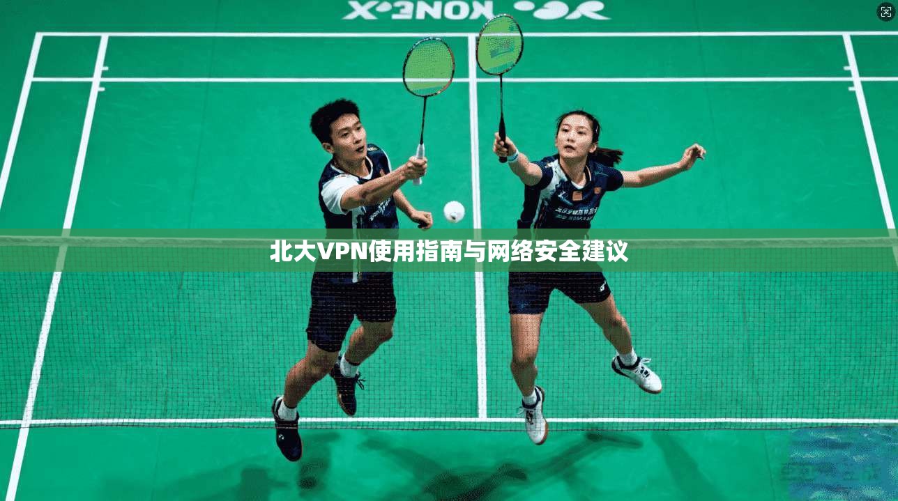 北大VPN使用指南与网络安全建议