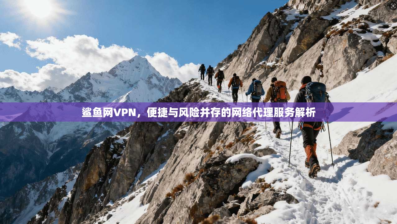 鲨鱼网VPN,便捷与风险并存的网络代理服务解析
