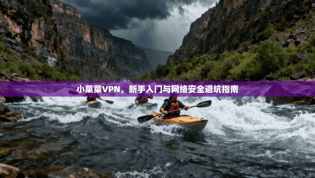 小菜菜VPN，新手入门与网络安全避坑指南