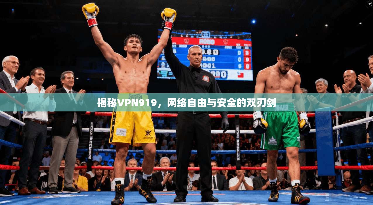 揭秘VPN919,网络自由与安全的双刃剑 揭秘VPN919,网络自由与安全的双刃剑