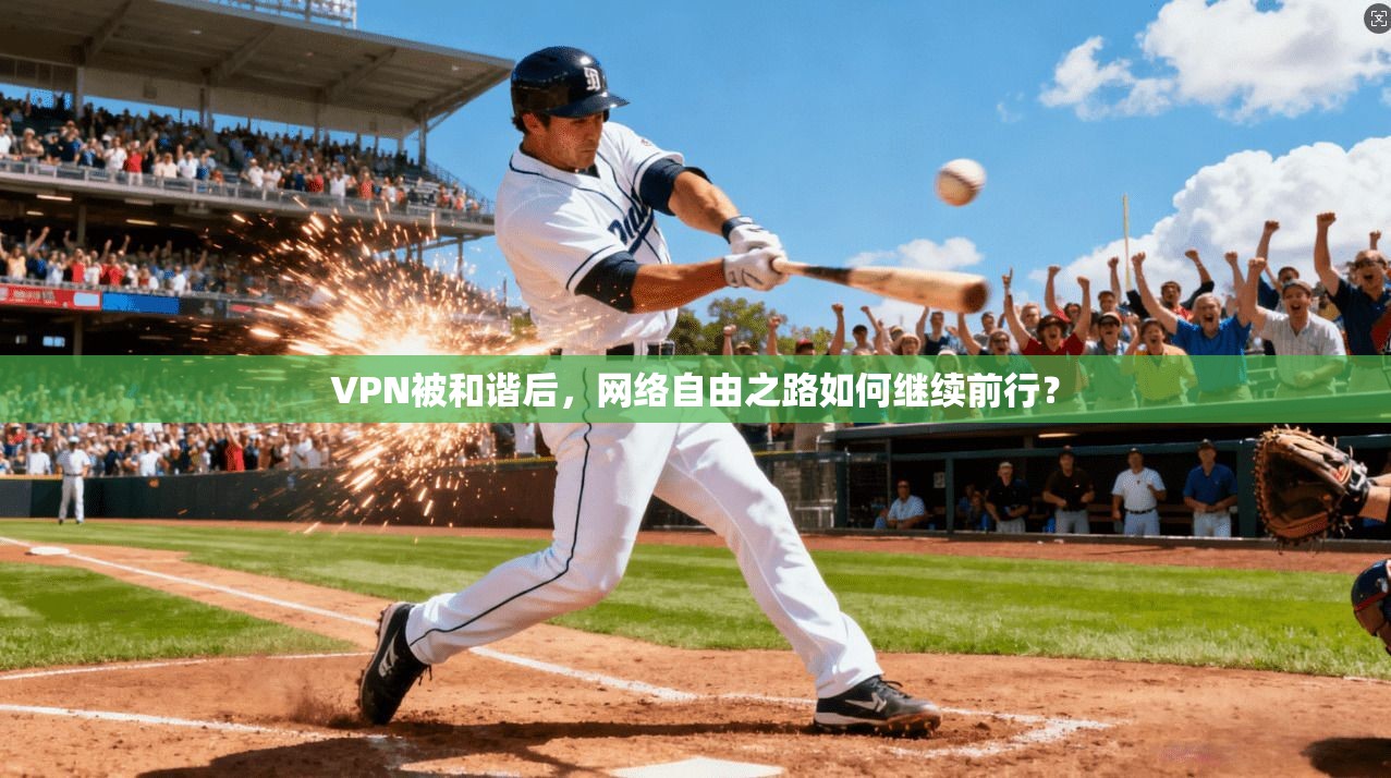 VPN被和谐后，网络自由之路如何继续前行？