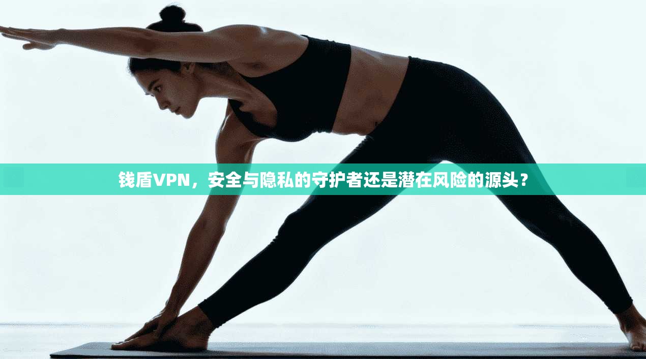 钱盾VPN，安全与隐私的守护者还是潜在风险的源头？