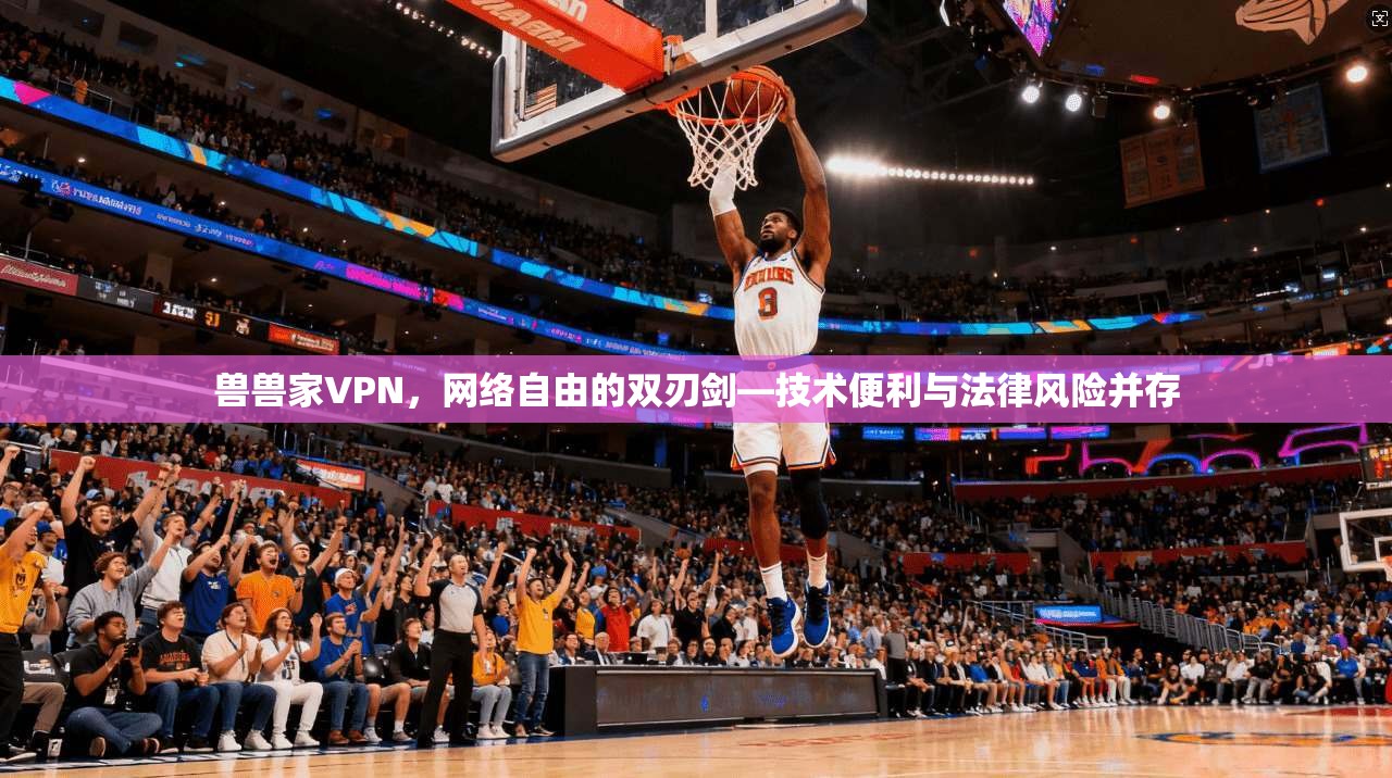 兽兽家VPN，网络自由的双刃剑—技术便利与法律风险并存