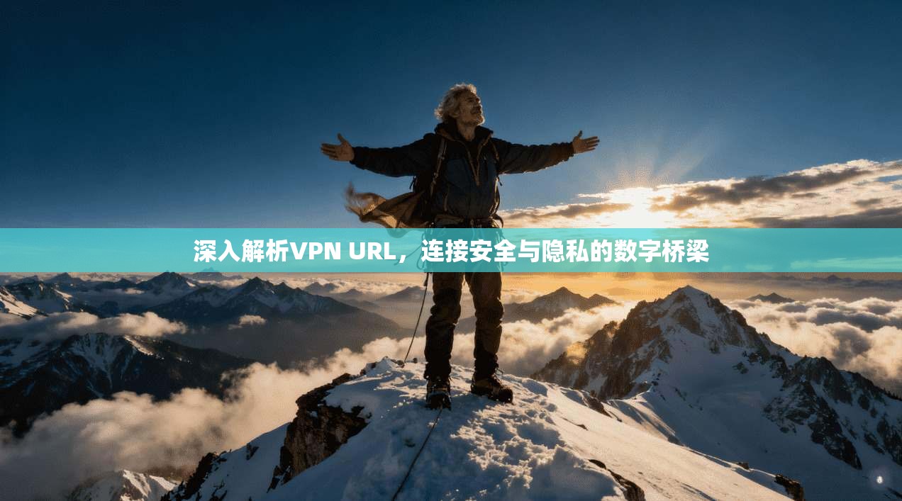 深入解析VPN URL，连接安全与隐私的数字桥梁