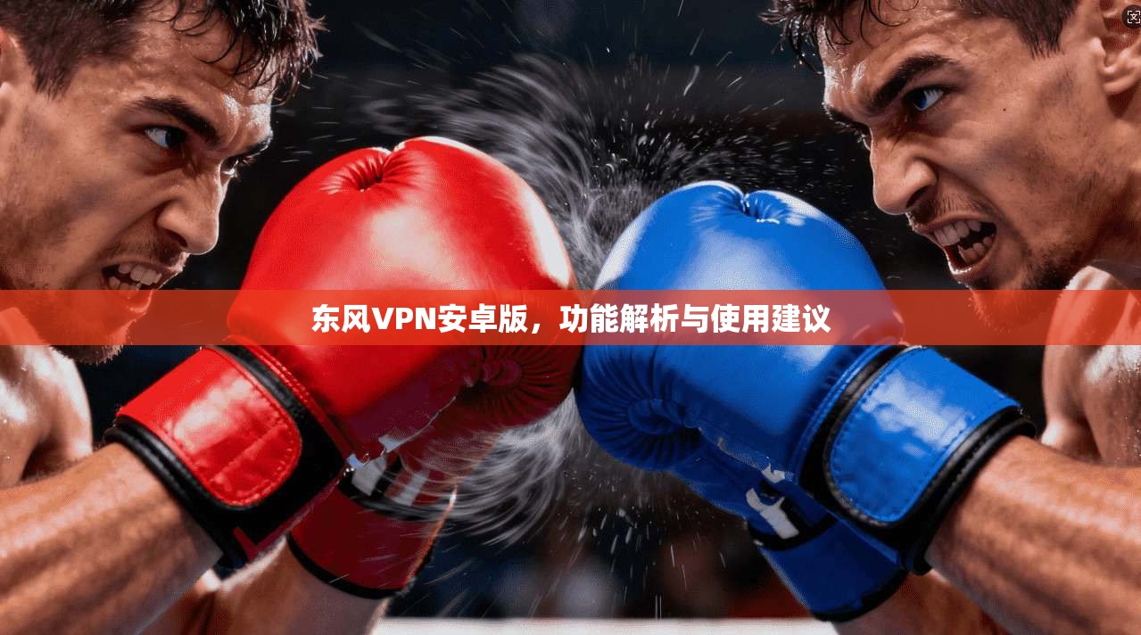 东风VPN安卓版，功能解析与使用建议