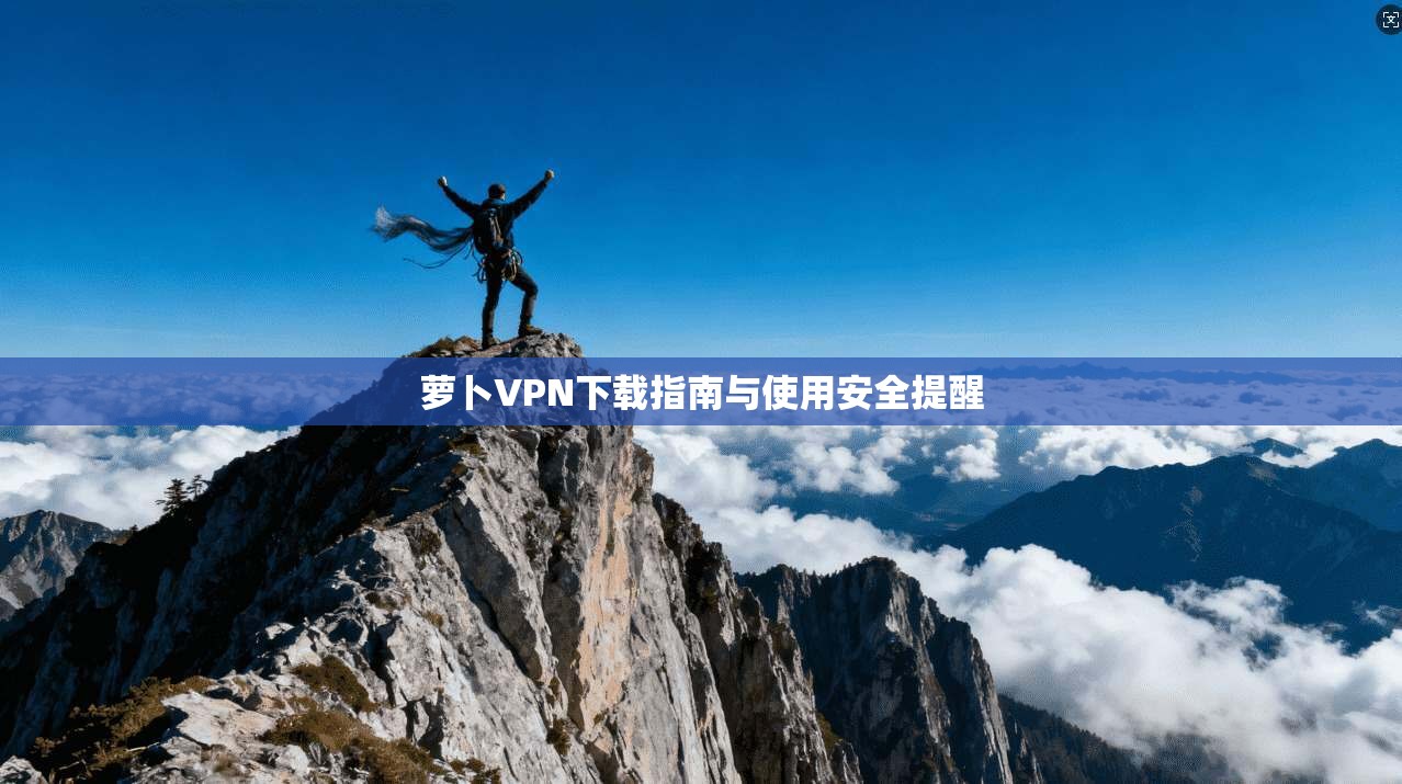 萝卜VPN下载指南与使用安全提醒