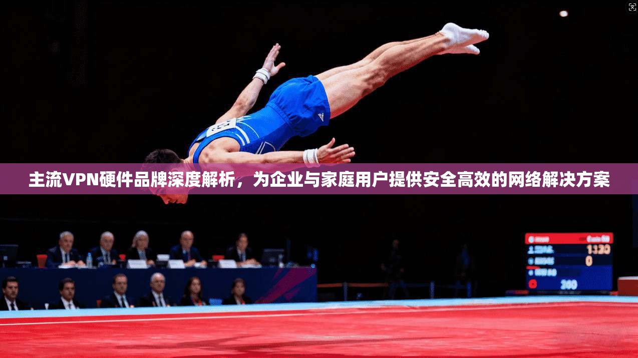 主流VPN硬件品牌深度解析，为企业与家庭用户提供安全高效的网络解决方案