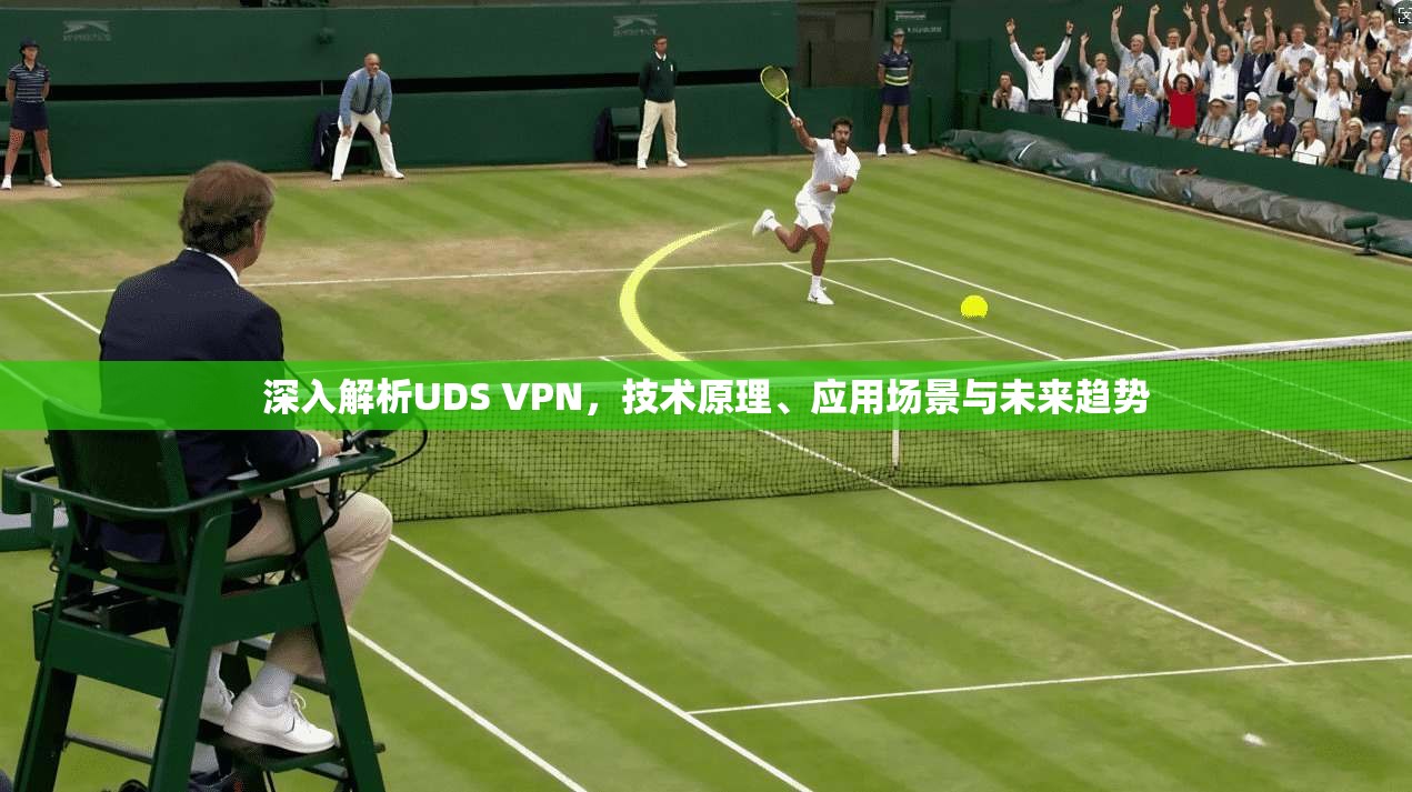 深入解析UDS VPN，技术原理、应用场景与未来趋势