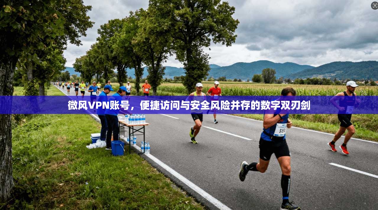 微风VPN账号，便捷访问与安全风险并存的数字双刃剑