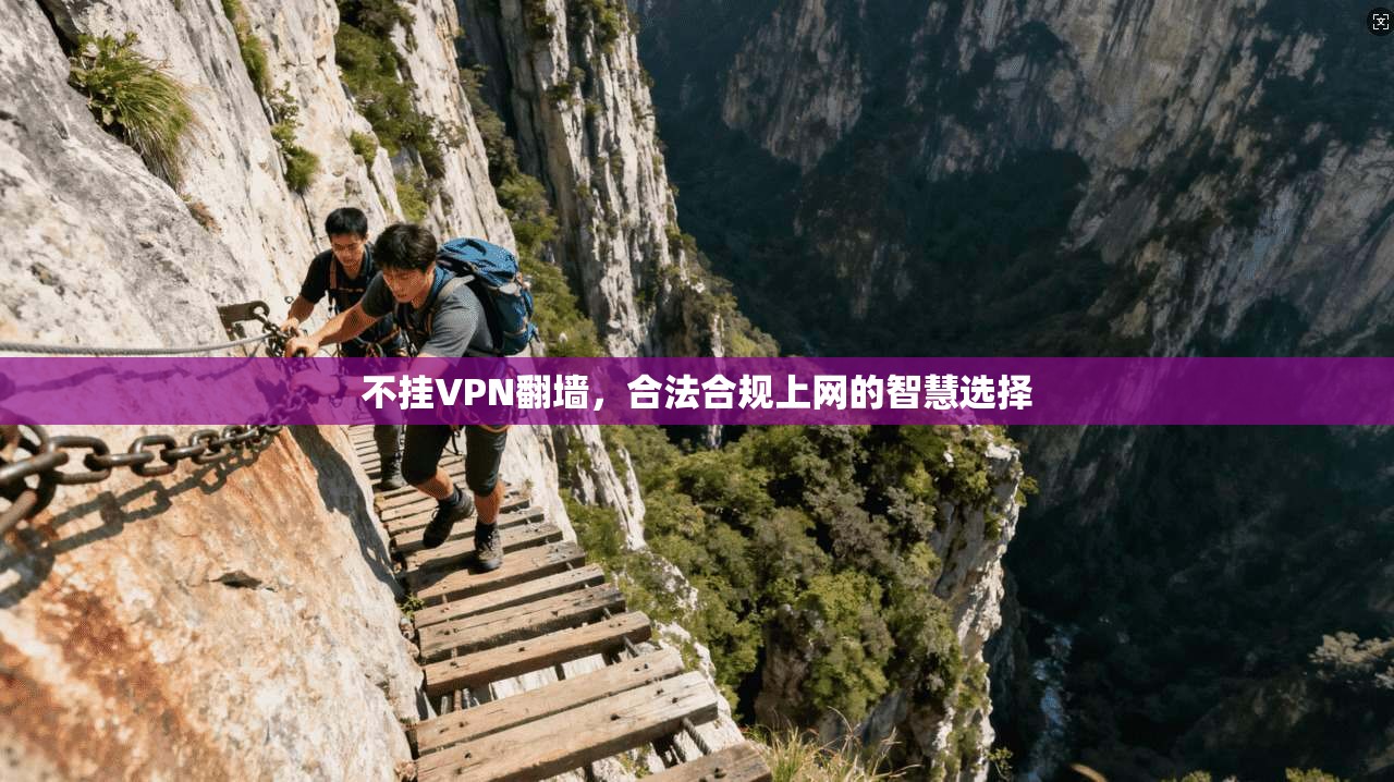 不挂VPN翻墙，合法合规上网的智慧选择