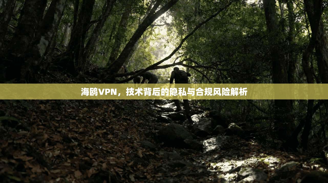 海鸥VPN，技术背后的隐私与合规风险解析