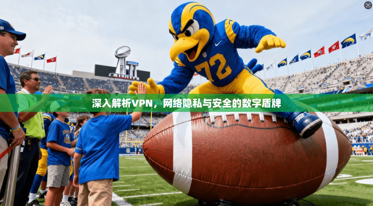 深入解析VPN，网络隐私与安全的数字盾牌