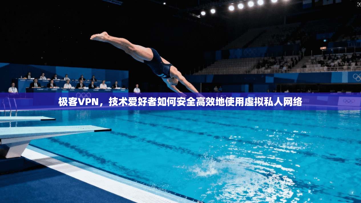 极客VPN，技术爱好者如何安全高效地使用虚拟私人网络