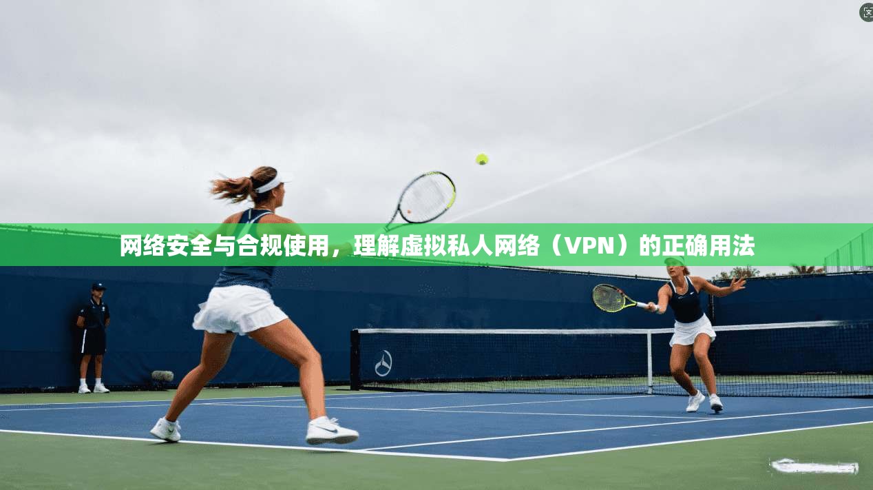 网络安全与合规使用，理解虚拟私人网络（VPN）的正确用法