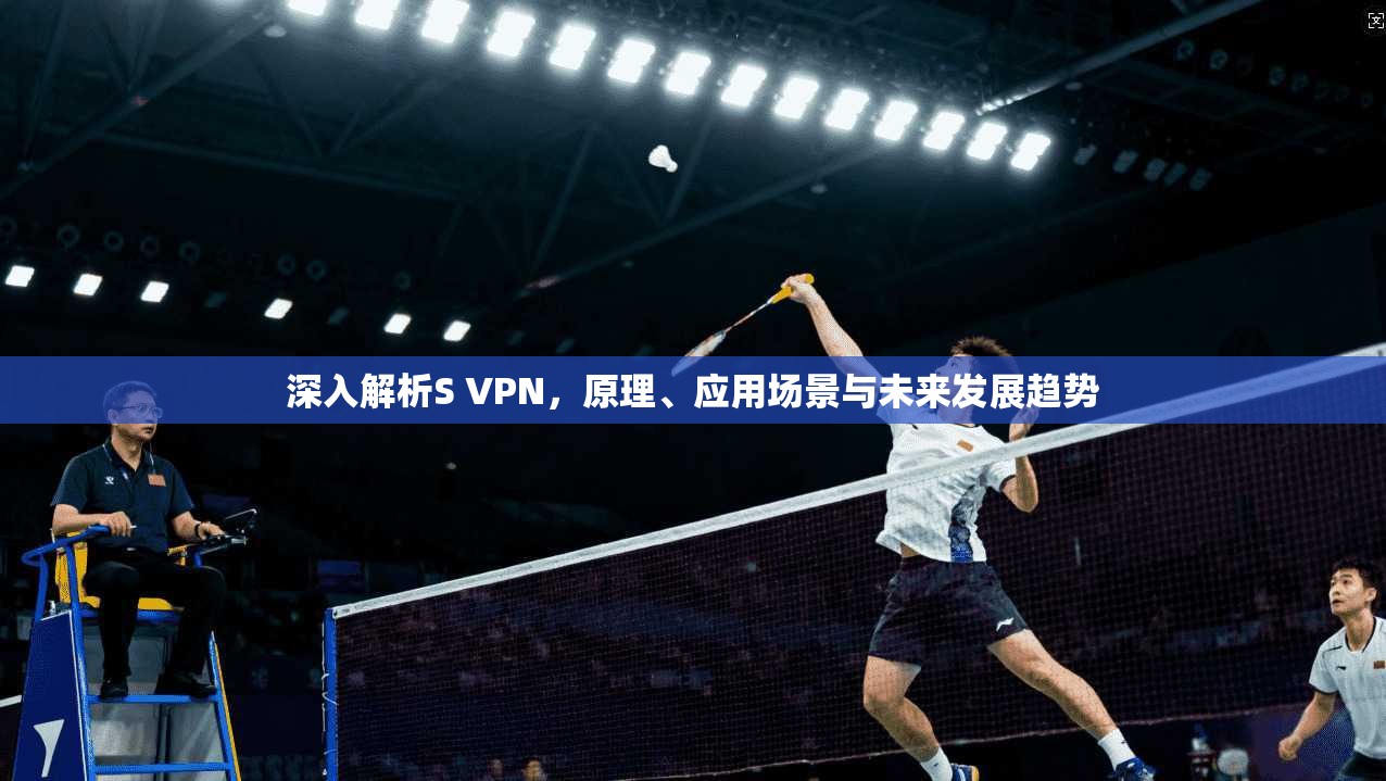 深入解析S VPN，原理、应用场景与未来发展趋势