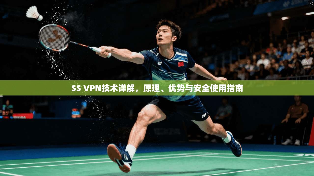 SS VPN技术详解，原理、优势与安全使用指南
