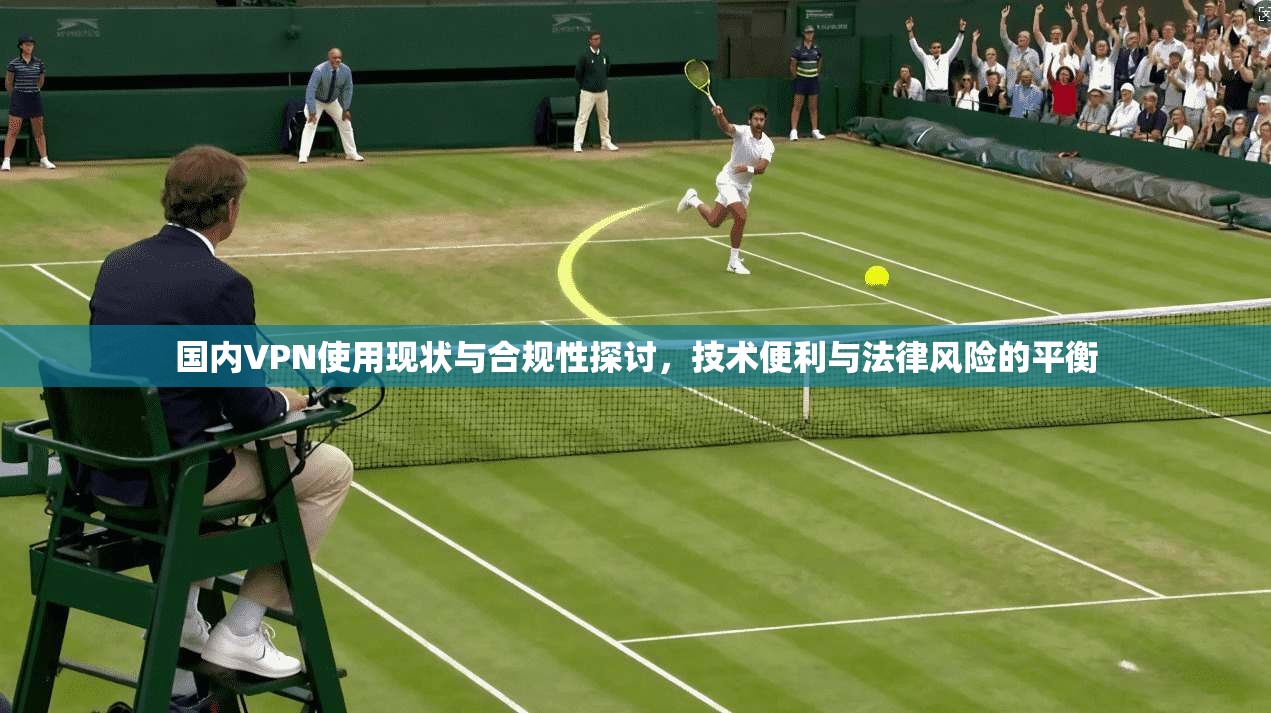 国内VPN使用现状与合规性探讨,技术便利与法律风险的平衡 国内VPN使用现状与合规性探讨,技术便利与法律风险的平衡