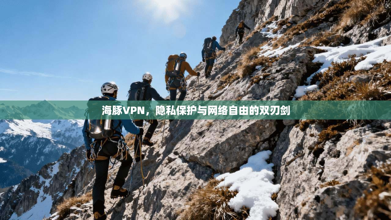海豚VPN，隐私保护与网络自由的双刃剑