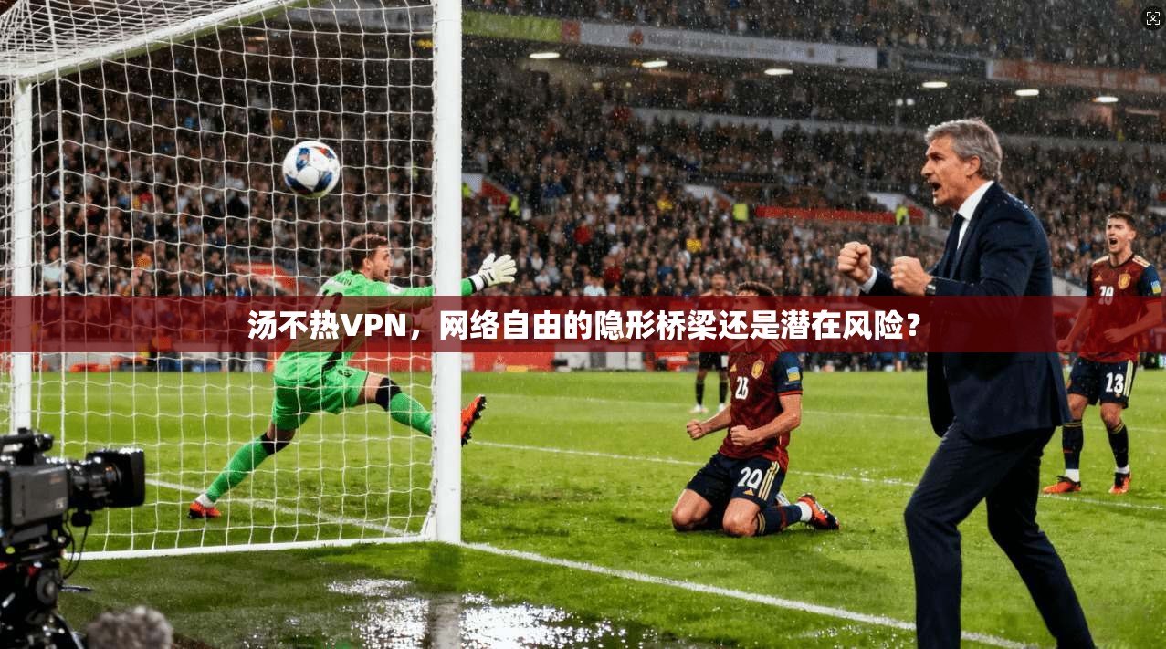 汤不热VPN，网络自由的隐形桥梁还是潜在风险？