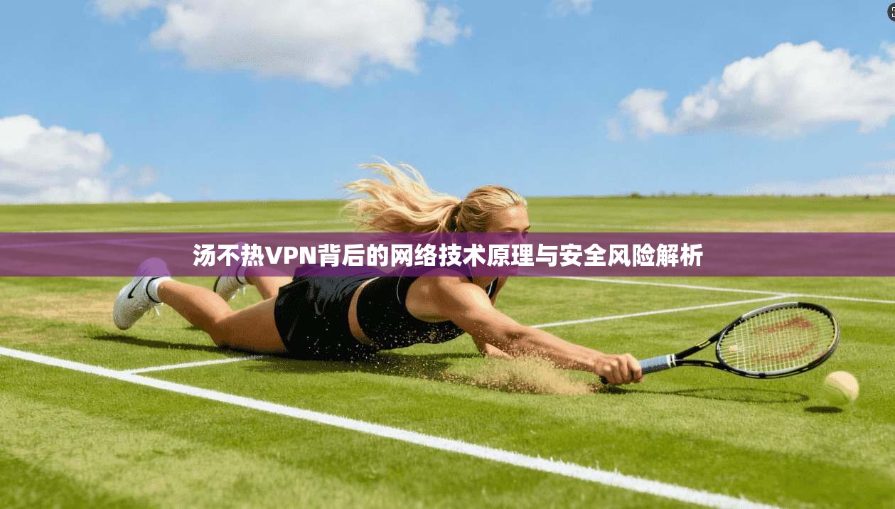 汤不热VPN背后的网络技术原理与安全风险解析