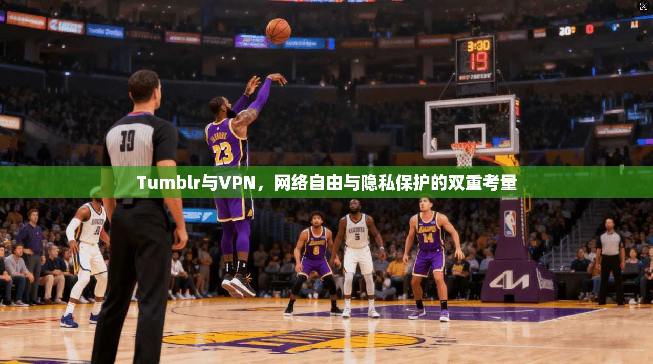 Tumblr与VPN，网络自由与隐私保护的双重考量