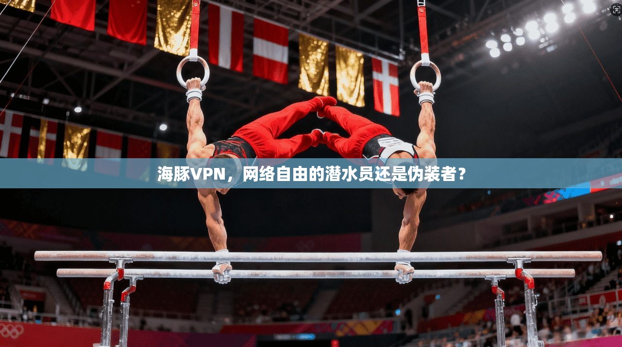 海豚VPN,网络自由的潜水员还是伪装者? 海豚VPN,网络自由的潜水员还是伪装者?