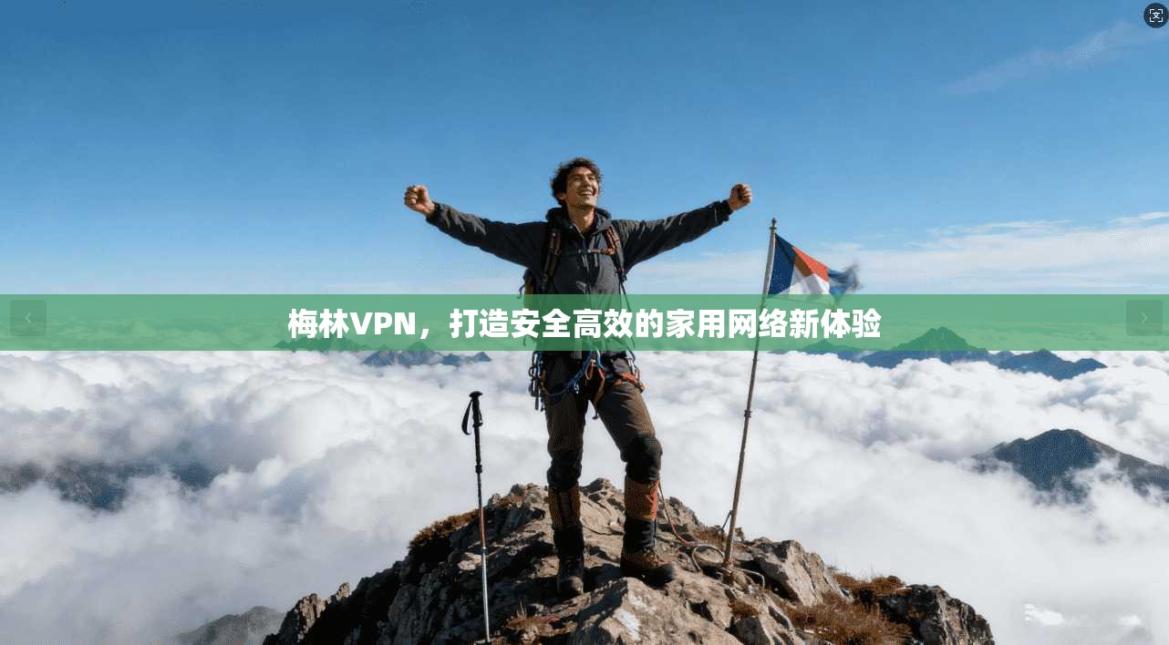 梅林VPN，打造安全高效的家用网络新体验