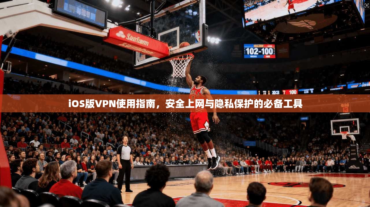iOS版VPN使用指南，安全上网与隐私保护的必备工具