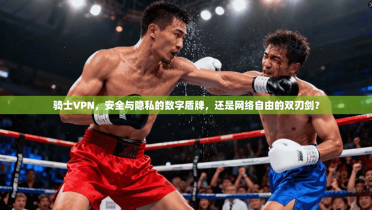 骑士VPN，安全与隐私的数字盾牌，还是网络自由的双刃剑？