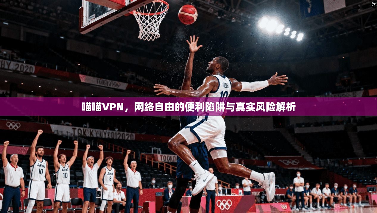 喵喵VPN，网络自由的便利陷阱与真实风险解析