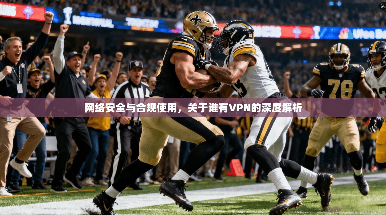 网络安全与合规使用，关于谁有VPN的深度解析