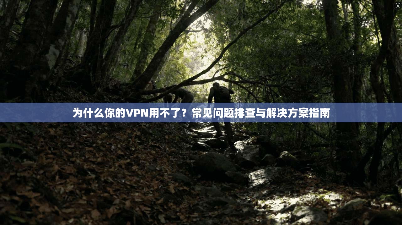 为什么你的VPN用不了？常见问题排查与解决方案指南
