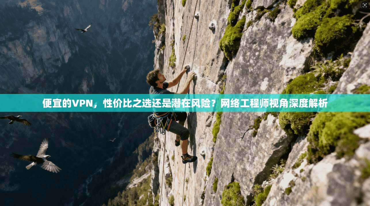便宜的VPN，性价比之选还是潜在风险？网络工程师视角深度解析