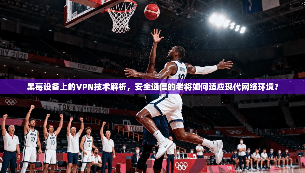黑莓设备上的VPN技术解析,安全通信的老将如何适应现代网络环境? 黑莓设备上的VPN技术解析,安全通信的老将如何适应现代网络环境?