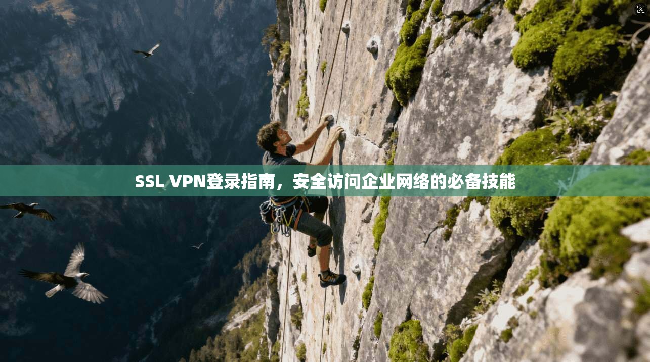 SSL VPN登录指南,安全访问企业网络的必备技能 SSL VPN登录指南,安全访问企业网络的必备技能