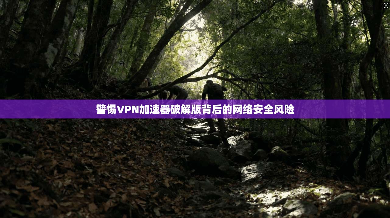警惕VPN加速器破解版背后的网络安全风险