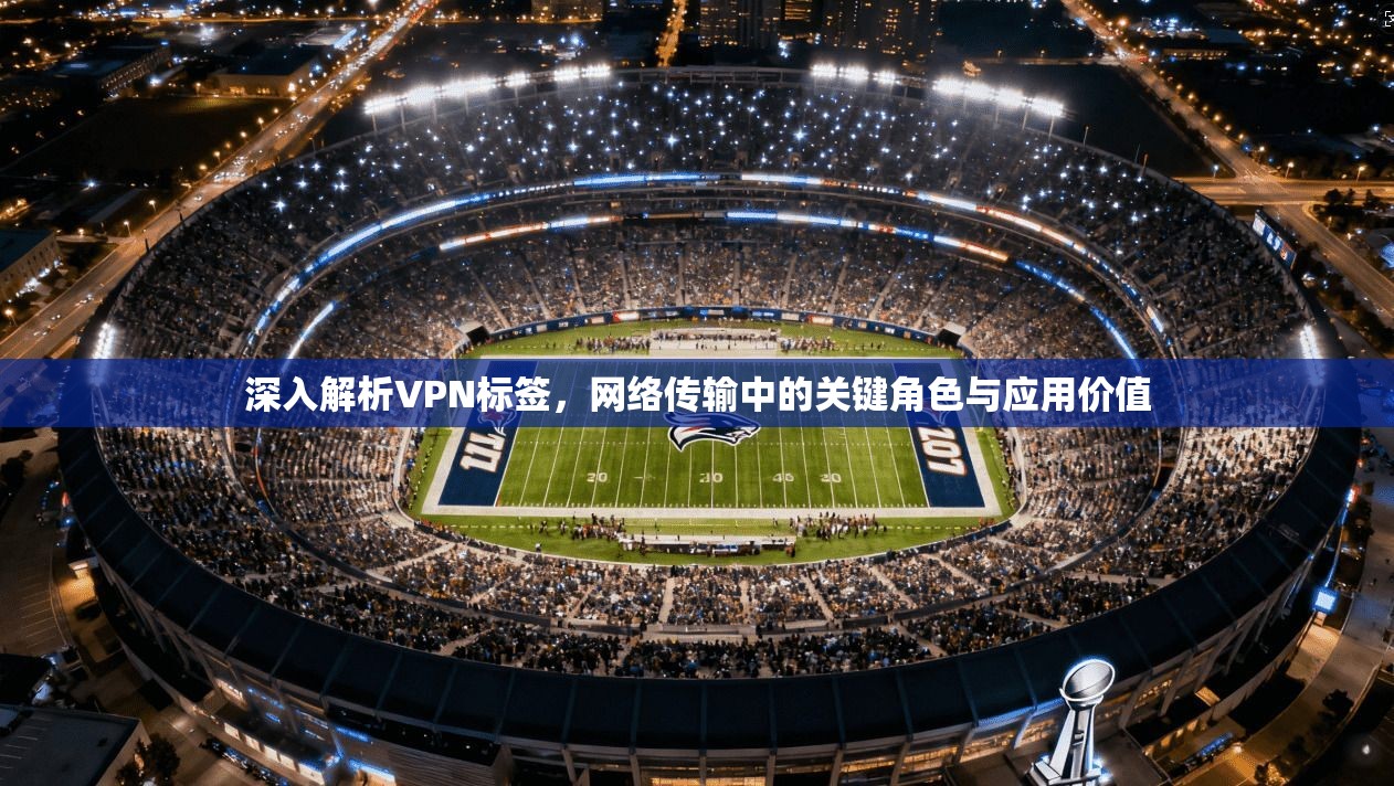 深入解析VPN标签,网络传输中的关键角色与应用价值 深入解析VPN标签,网络传输中的关键角色与应用价值