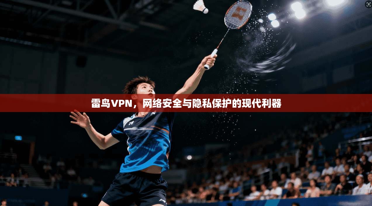 雷鸟VPN，网络安全与隐私保护的现代利器