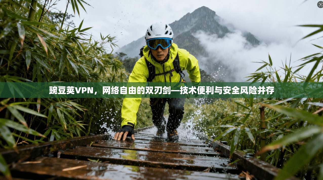 豌豆荚VPN，网络自由的双刃剑—技术便利与安全风险并存