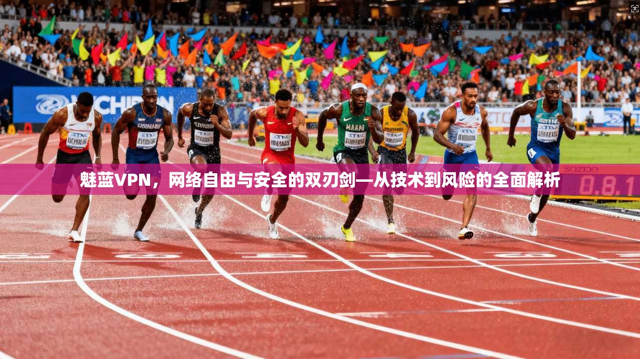 魅蓝VPN，网络自由与安全的双刃剑—从技术到风险的全面解析