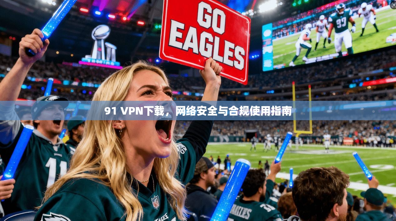 91 VPN下载，网络安全与合规使用指南