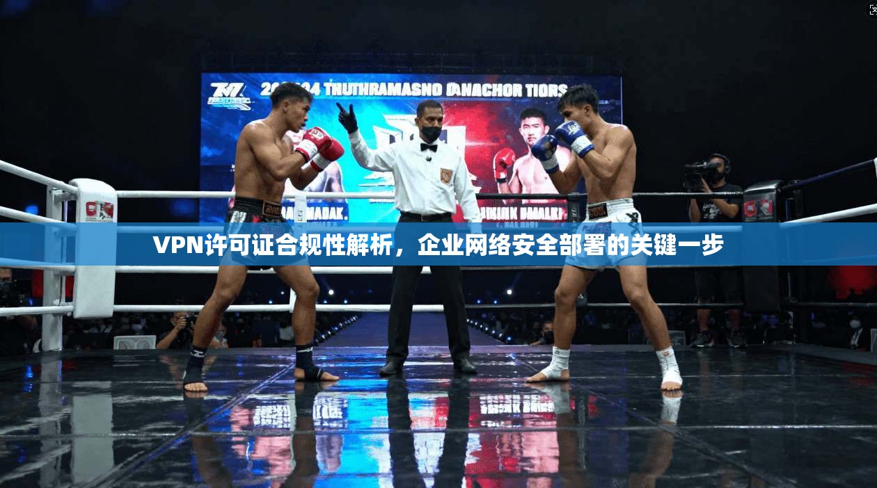 VPN许可证合规性解析，企业网络安全部署的关键一步