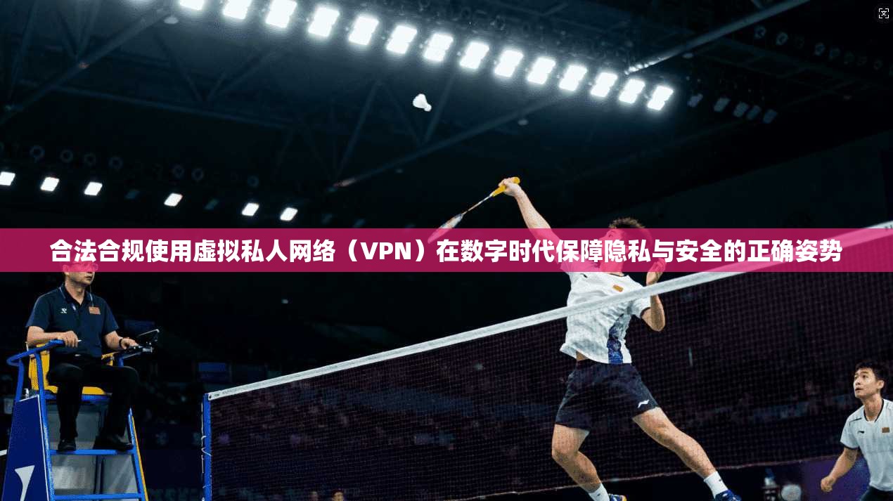 合法合规使用虚拟私人网络（VPN）在数字时代保障隐私与安全的正确姿势