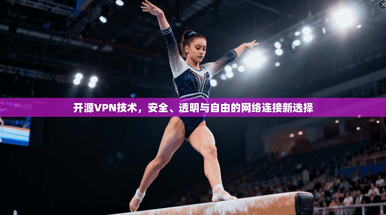 开源VPN技术，安全、透明与自由的网络连接新选择