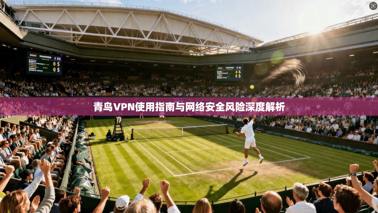 青鸟VPN使用指南与网络安全风险深度解析