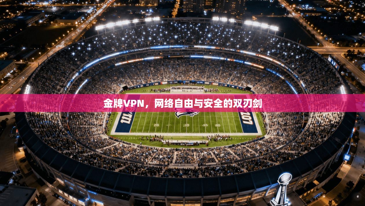 金牌VPN，网络自由与安全的双刃剑