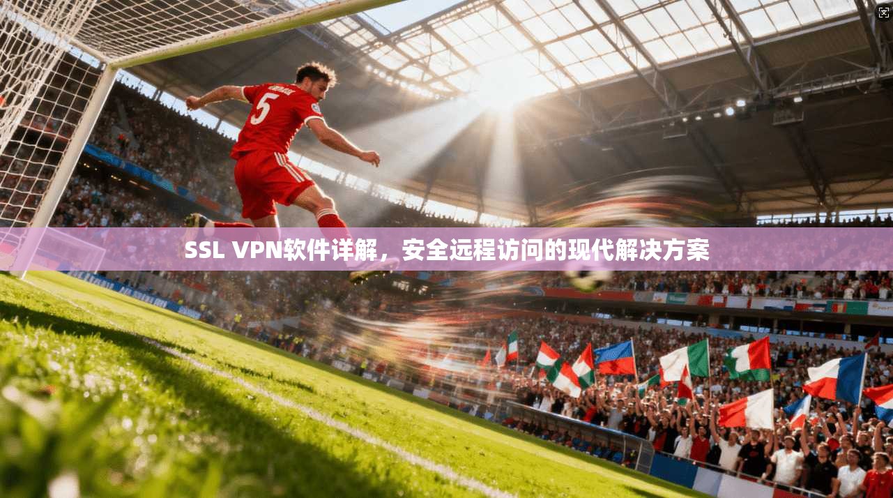 SSL VPN软件详解，安全远程访问的现代解决方案
