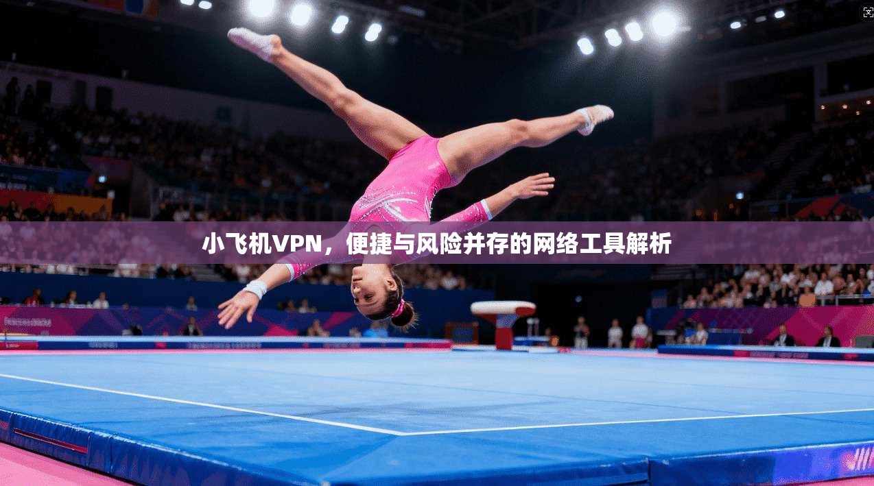 小飞机VPN，便捷与风险并存的网络工具解析