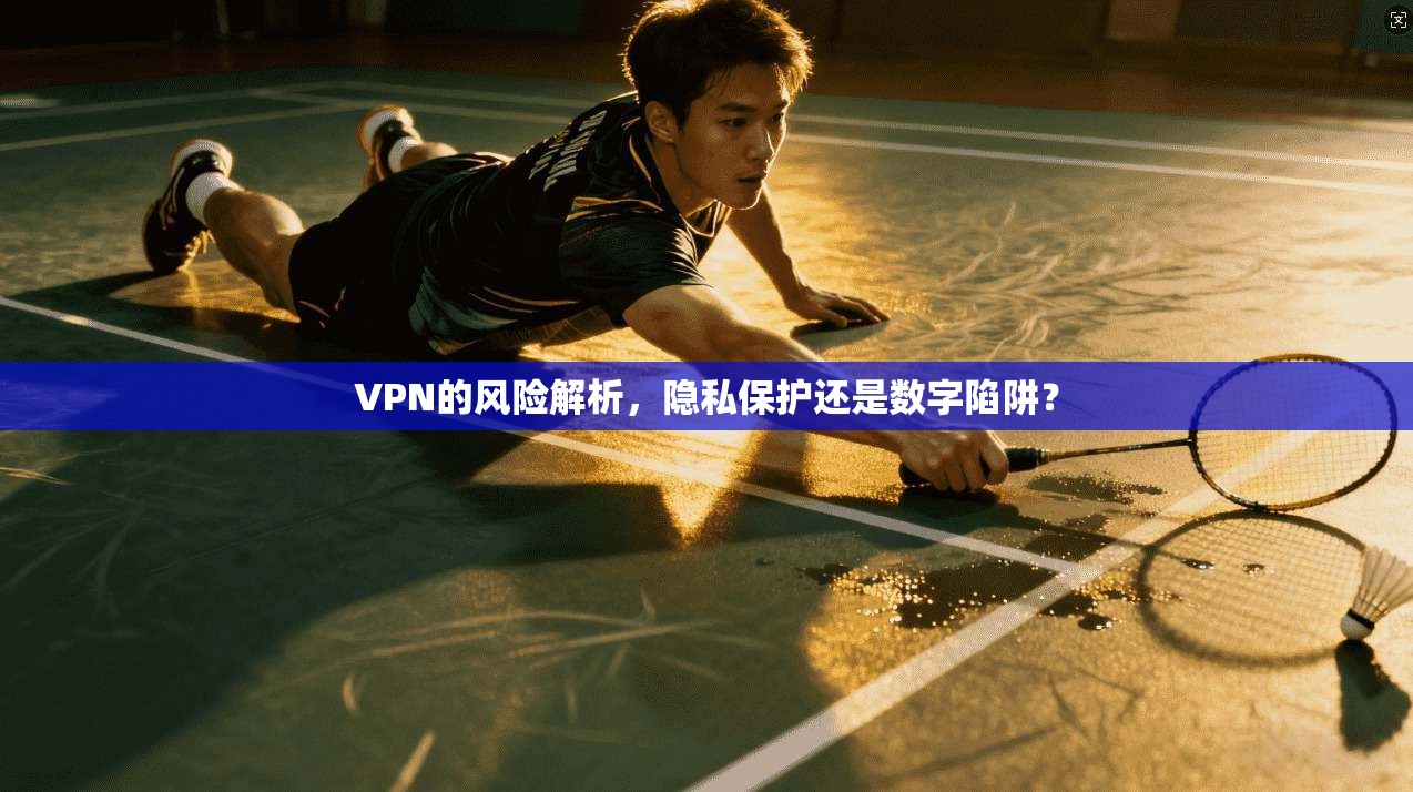 VPN的风险解析，隐私保护还是数字陷阱？