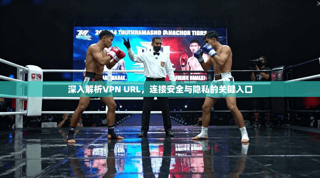 深入解析VPN URL，连接安全与隐私的关键入口